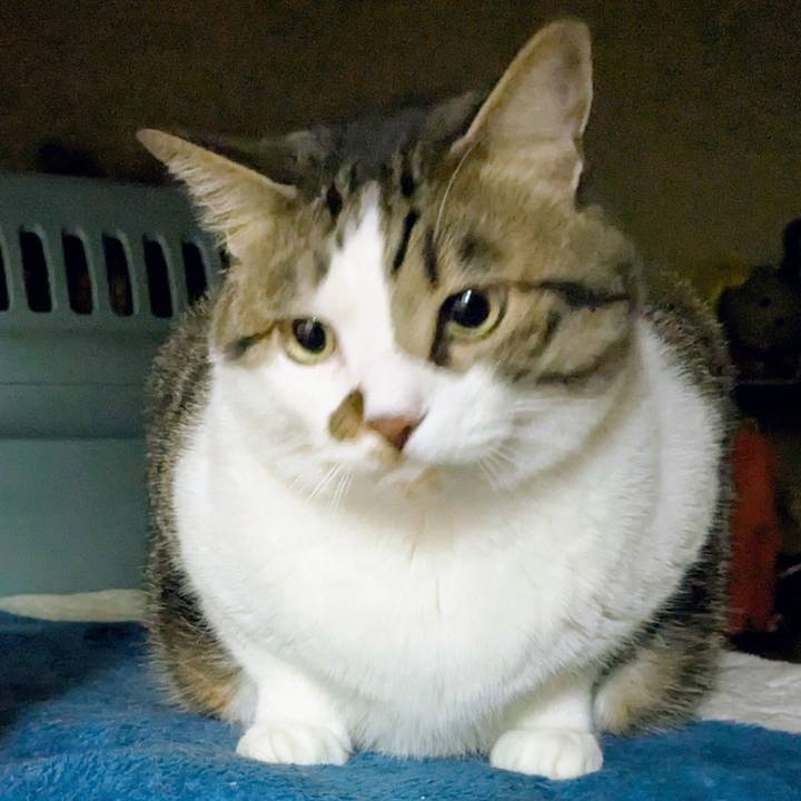 C99075a0 9d57 437f 9cc2 c9994408688f 1748736846051