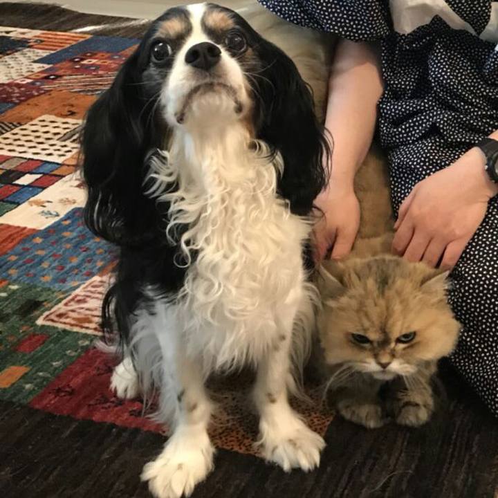 C990790c 27bd 4afb 8e27 46f4c1d81b7e 1532084300985