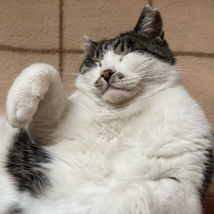 C9908b96 2045 4d70 a686 1900c7488c30 1671249660434