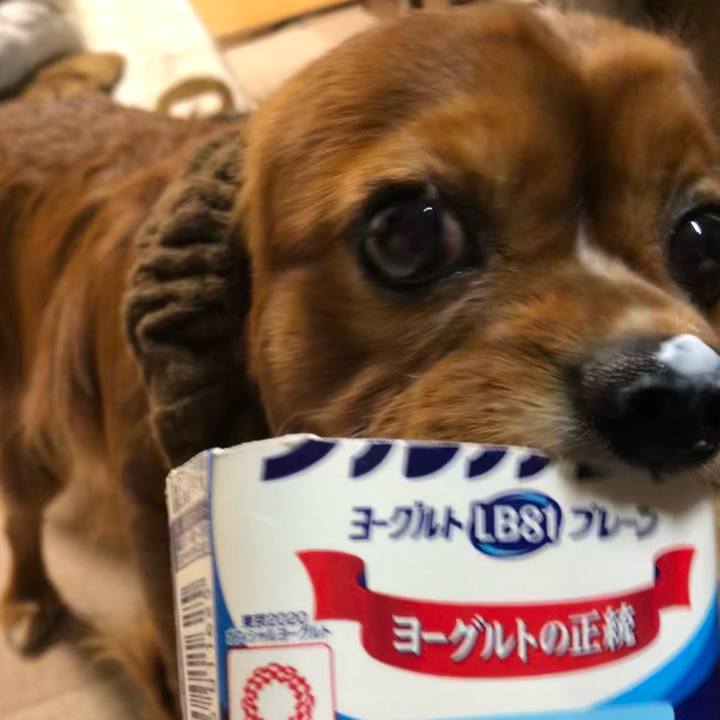 C9909689 2497 45ae b492 98b448742ad5 1607033102912