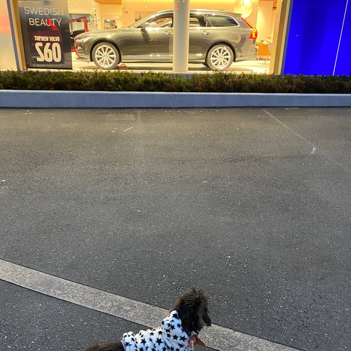 C990a880 18de 492d bccd 445cd5018c5d 1576312643825