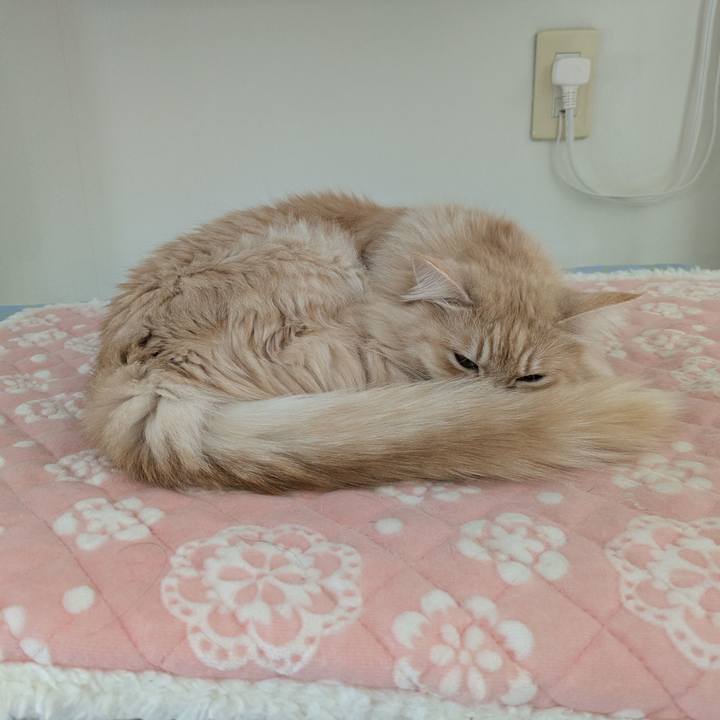 C990e18c fd2e 4fbe 84f2 141b235e6e8e 1737949886461