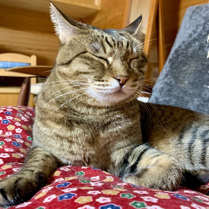 C990f1b0 c1d4 4b58 bc50 71883f755fb0 1631368273280