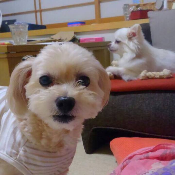 C990fa1a 0edb 41ed 9511 81c97af88ee1 1536493865174