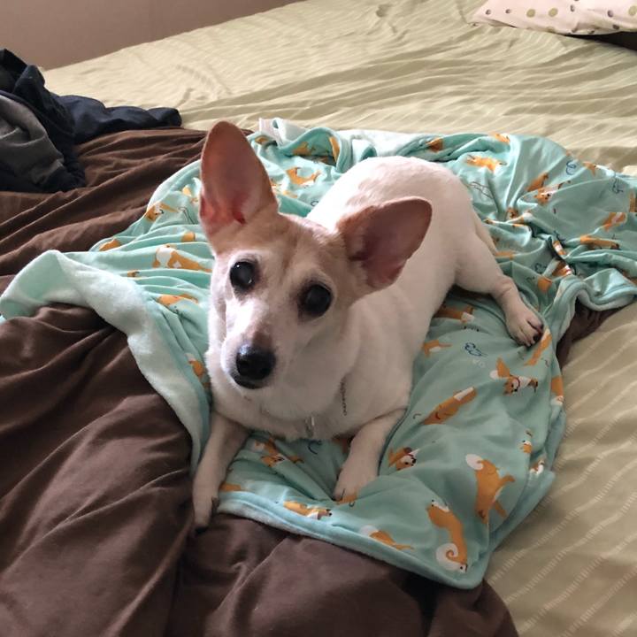 C9910555 0678 41cf 9957 b917e581d752 1542098507554