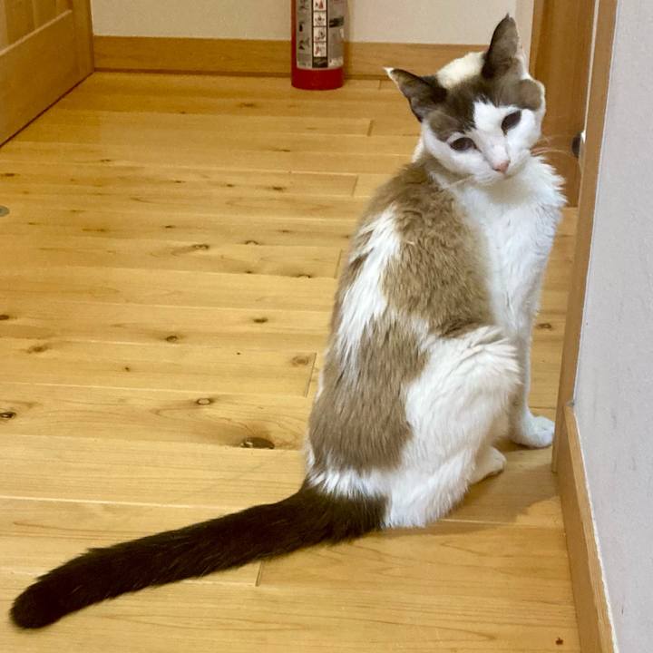 C9910583 88ab 4dff 8aba 9881e2d72368 1678481835644