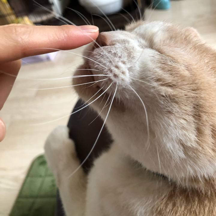 C991bca2 6ba5 446e 9252 b2554cc69d48 1547085117760