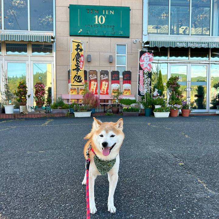 C99207a1 7310 404a b9ab 7935bdb1926f 1729662100037