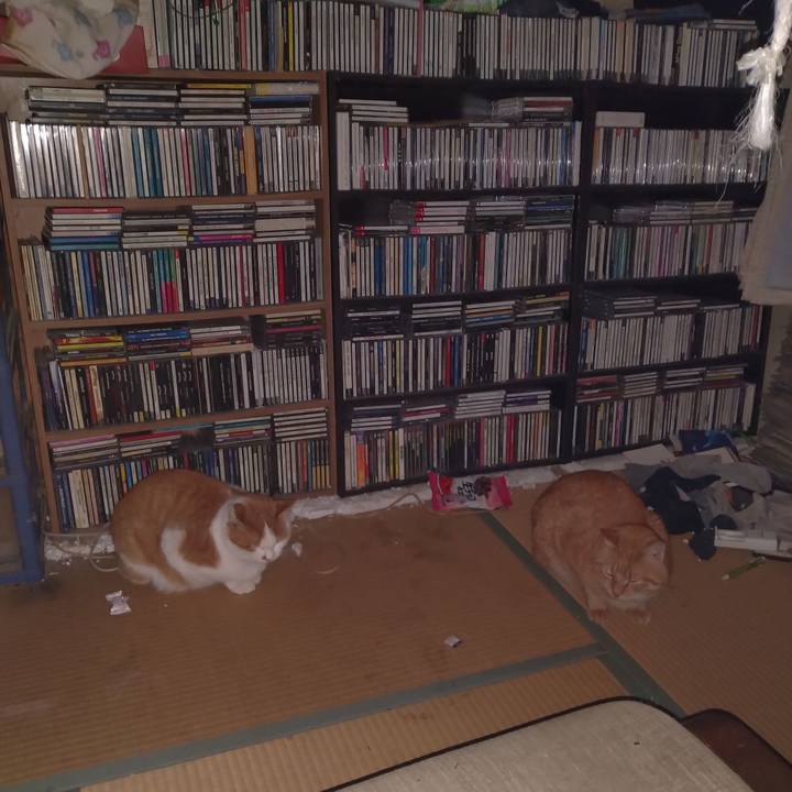 C9921be9 a15d 49d5 9af5 88b0b4550db8 1766175718188