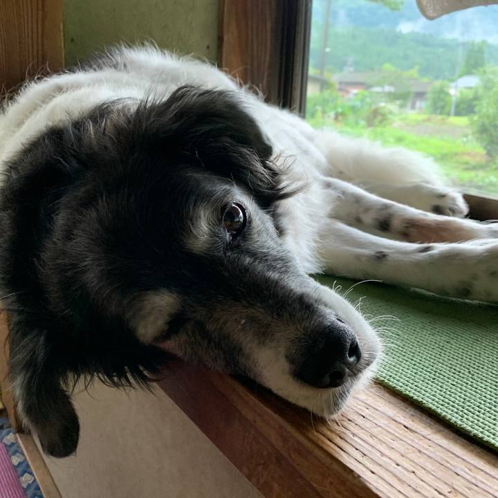 C9926ca8 4bc5 4a01 b4c0 b59aeb9d69bc 1593231981111