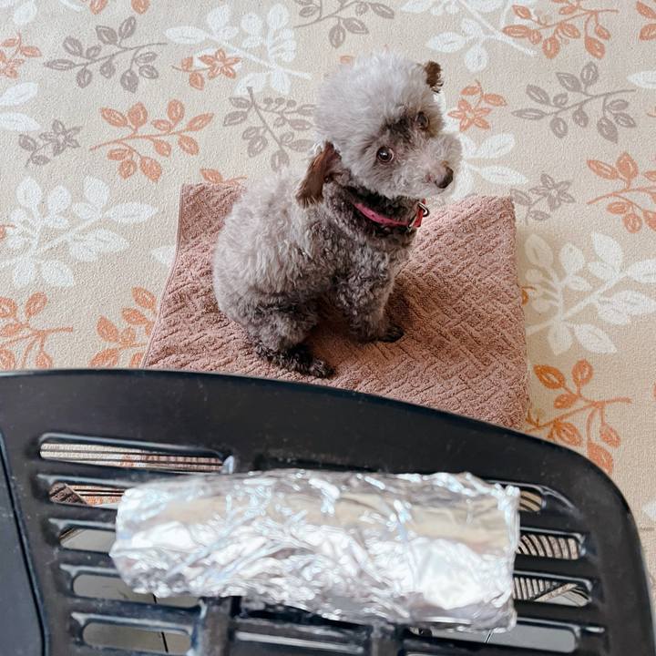 C99297a4 813c 498c af42 683735ca12a0 1714697177956