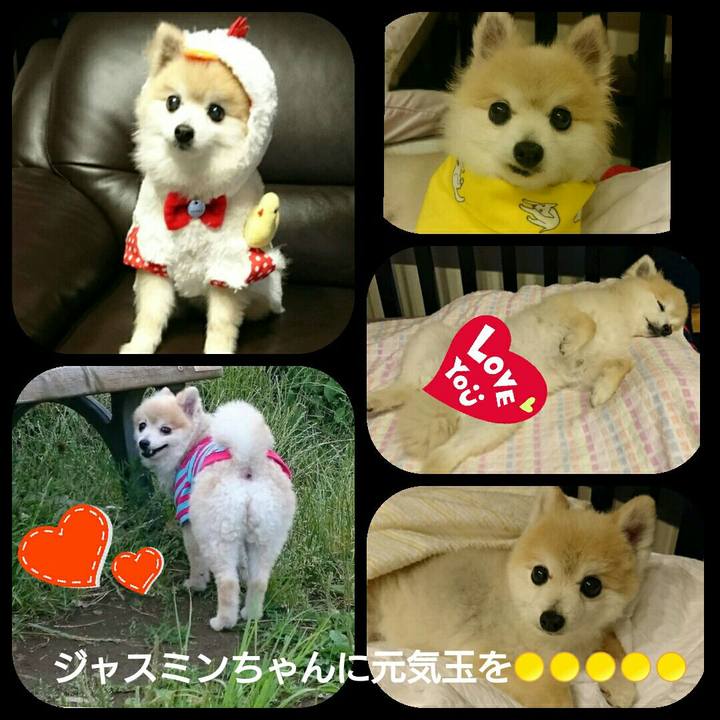 C992f59c 0d34 41b5 b159 eab492999a93 1509774846468