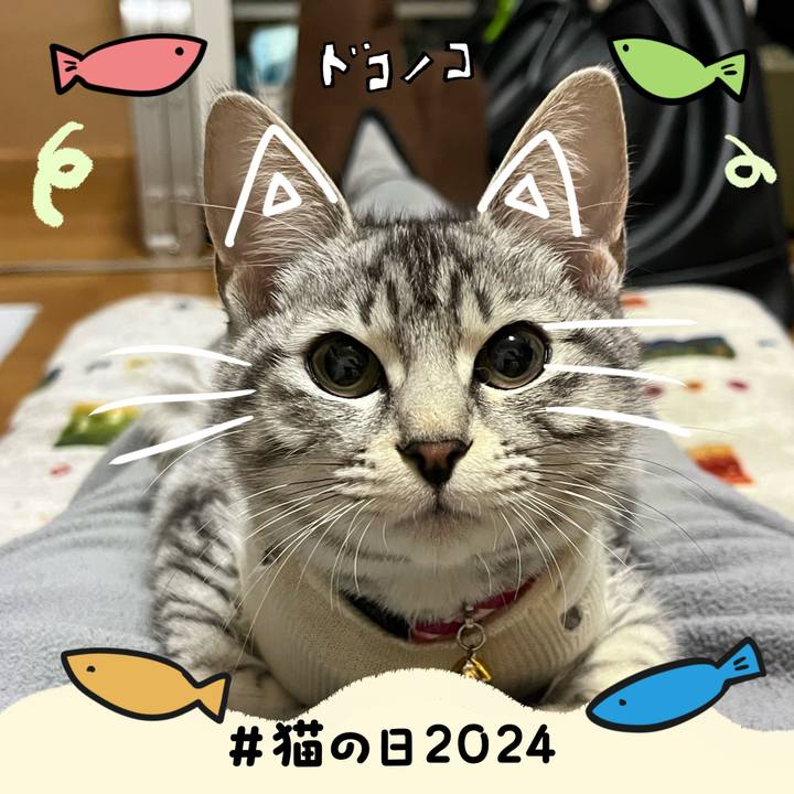 C993083a ef75 41bd 8511 ec55c0241563 1708553309442