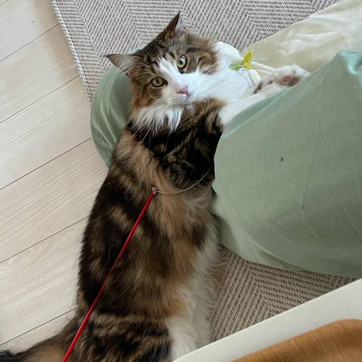 C99316a3 499d 40e6 b244 c9f5d220bb7f 1655071554987