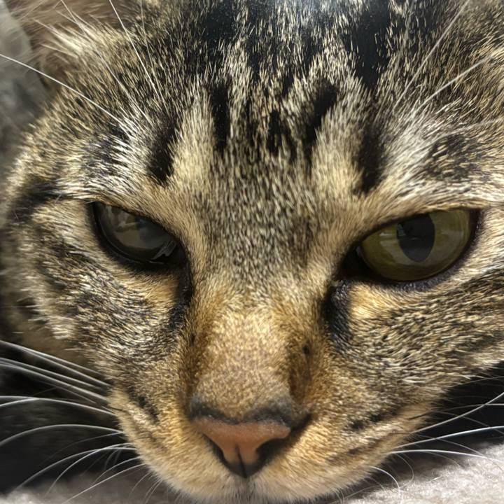 C993292b 897c 4695 b4c0 23c488a0cf69 1762567496010