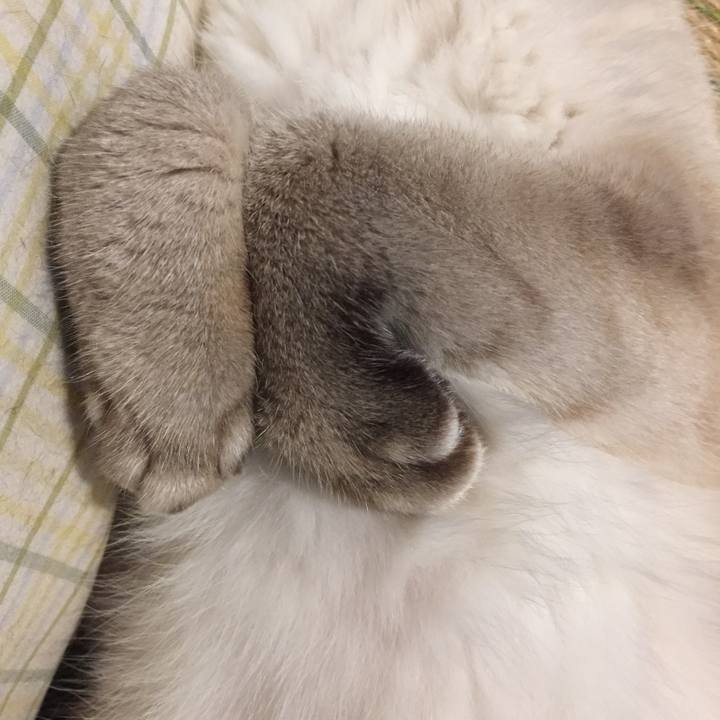 C993793f 18f2 4e00 a927 5b86f67e8a15 1569153605888