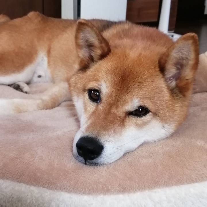 C993a597 936b 4035 9b35 b1c829912358 1594104530026