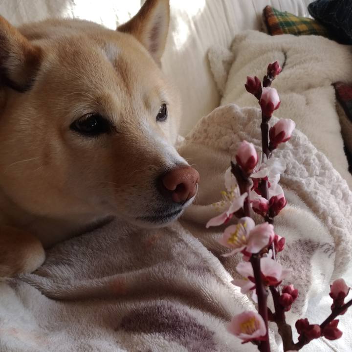 C99403f9 11de 4a1a 86ac cabbff5156d9 1646359133739