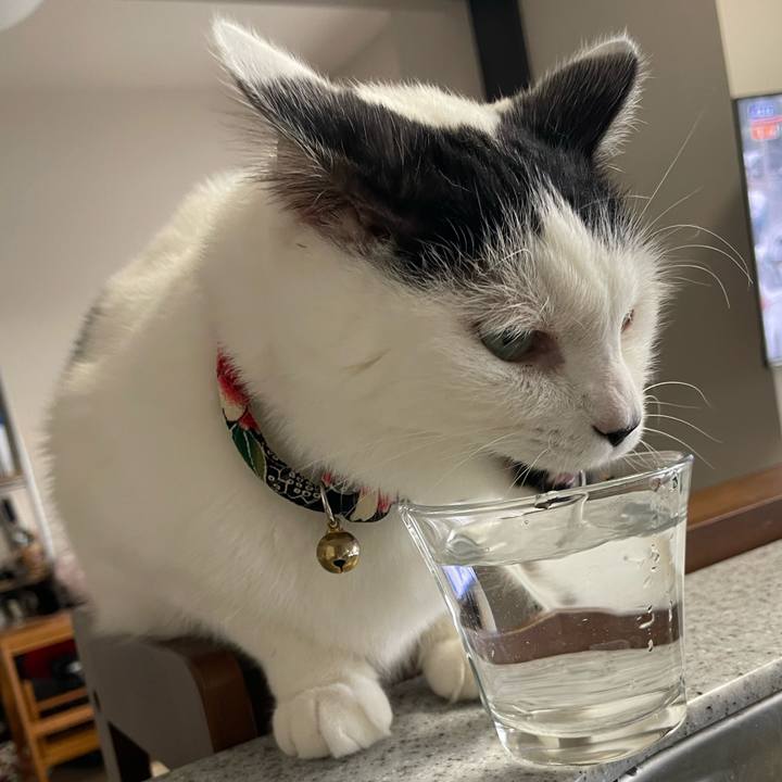 C9942d64 2838 4ea4 b2fa eb4e71bbbf60 1704166540648