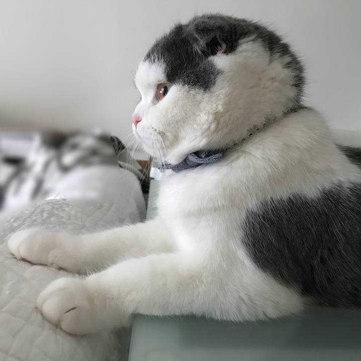 C994ae15 02c1 4e55 a7ac c06aed2f2559 1526509448764