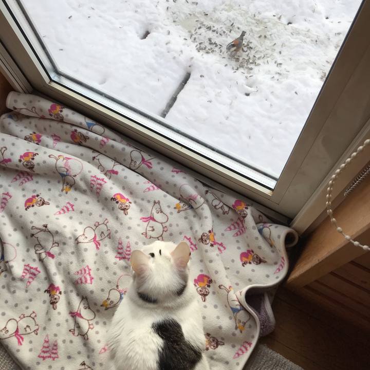 C994c1d7 ed82 438e a040 bd6756c639b4 1581375633577