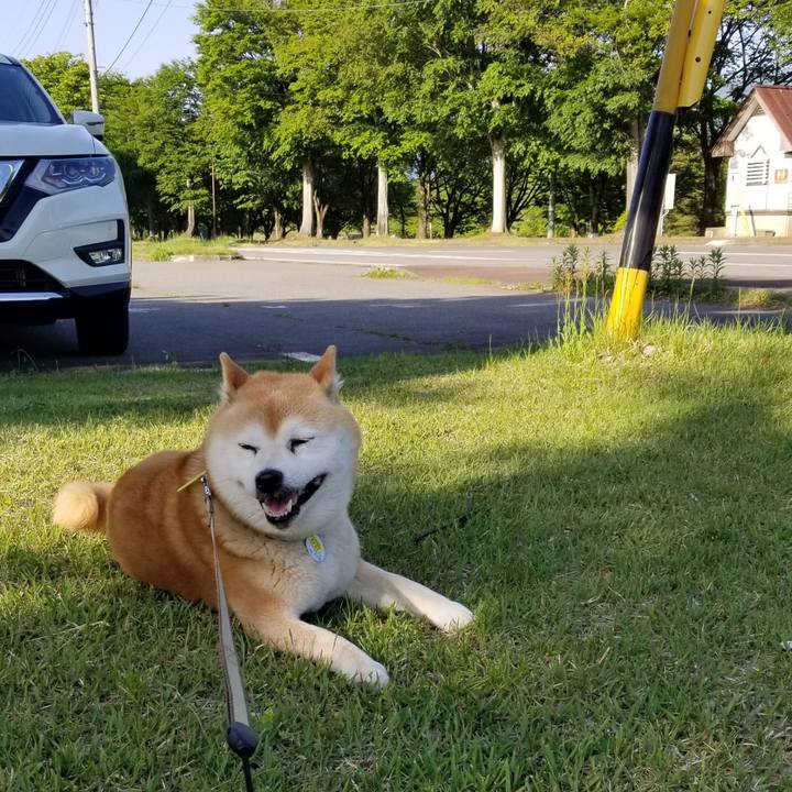 C994d622 2702 42e6 af41 c4aa9dd5bc22 1653810332976