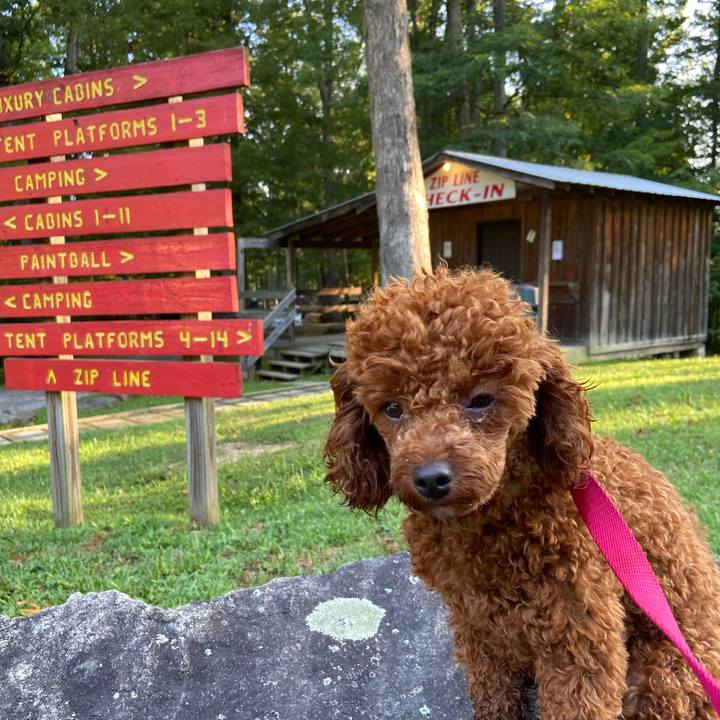 C994f46a 081c 4456 a004 a99e3542f47c 1595812316790