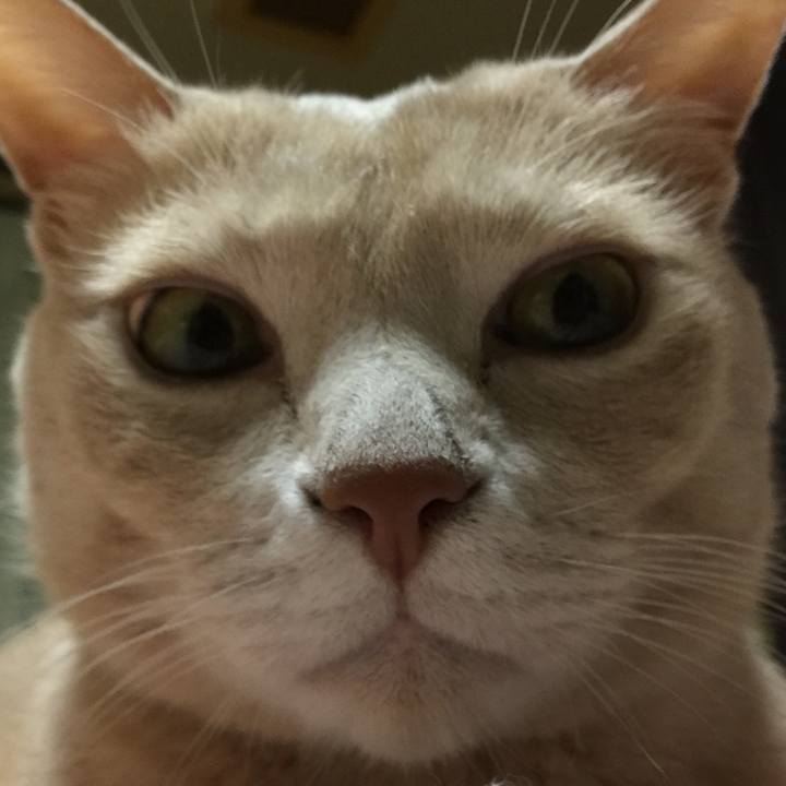 C9950a37 ed6b 4c14 a9d2 5c7c688683e2 1570274888734