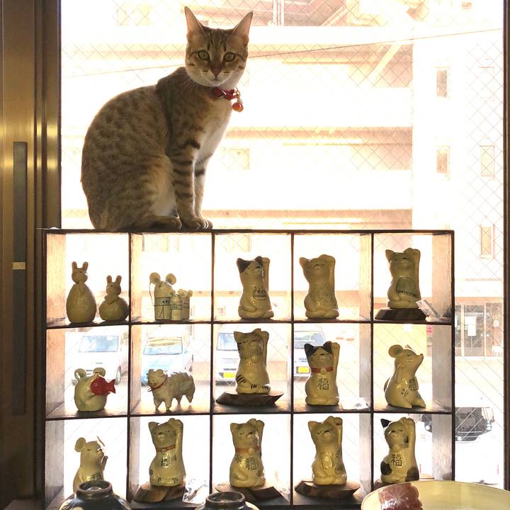 C9951096 f2f5 4729 8050 2181c3cab17e 1587607599497