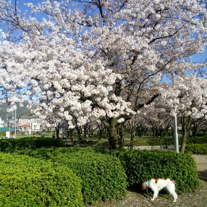 C9951b7b e45c 445a b80e 57049b02f99b 1522410027353