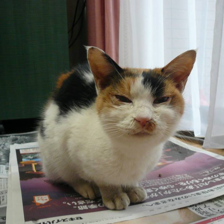 C9953c98 8829 4417 932a 1816d7d7abe5 1580714641796