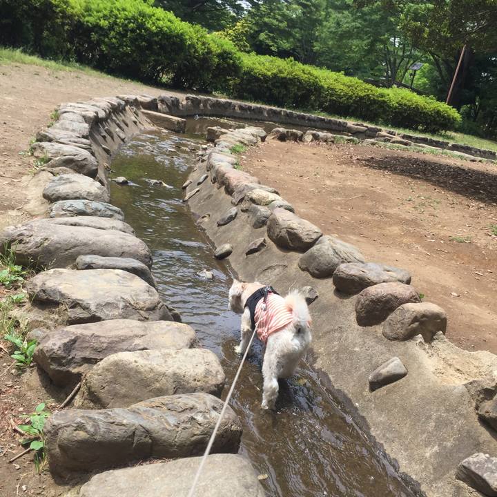 C9954401 1539 42bd 9bda ed0a64c52364 1527252255186