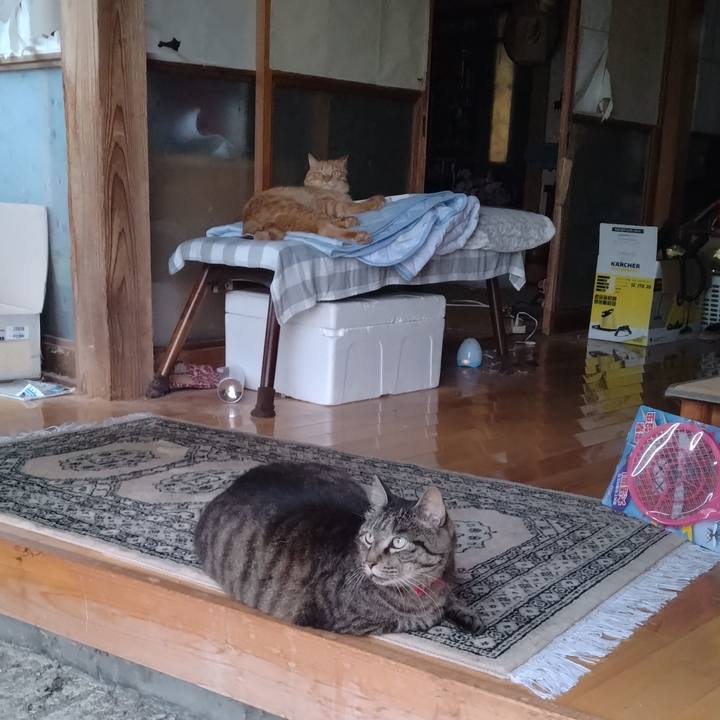 C99544a7 ec4f 4089 baf0 6a547e3c1f17 1688980728195