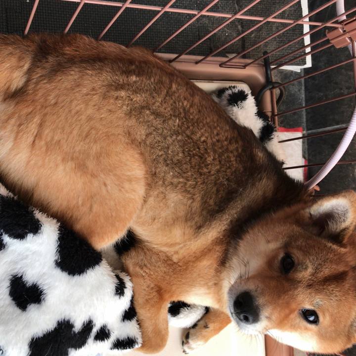 C9954680 3e4a 4d7d 93cd 52744c855ae2 1519646856157