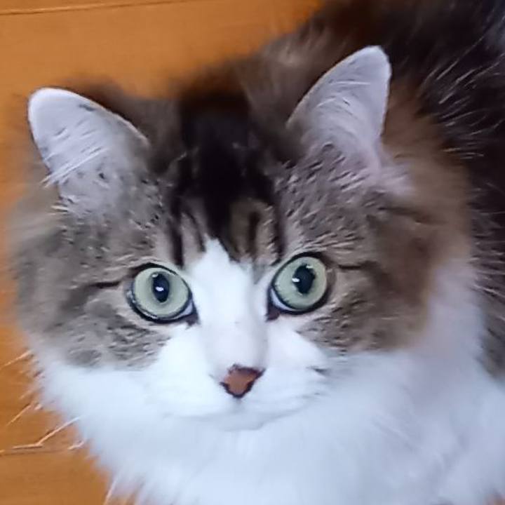 C9958b05 5c2f 43e2 8301 74f3d45fefad 1613205934168