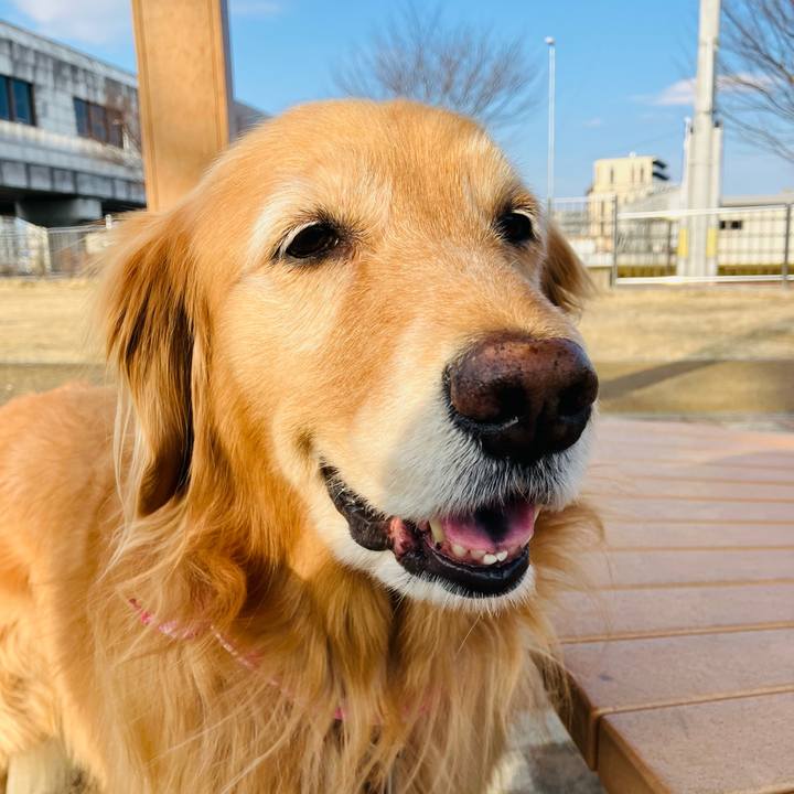 C995b46f 47ae 4941 898e b73aa3f24ccd 1737513650027