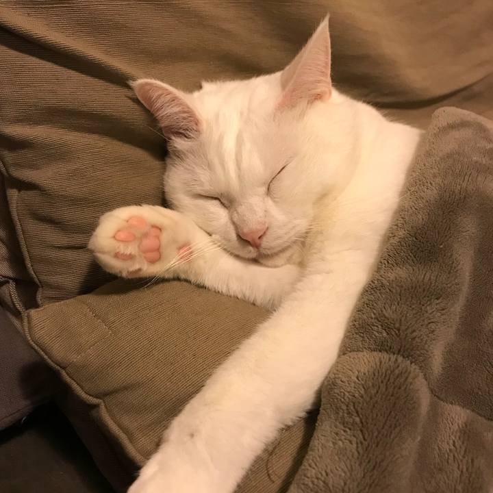 C995da3d 061f 4136 9cfe 90eda2e9957c 1518181856019