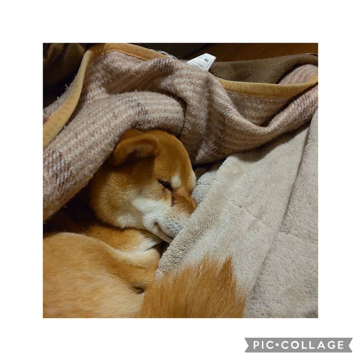 C996033e 7fc7 447e 8f54 27dbdf230e57 1713197149318