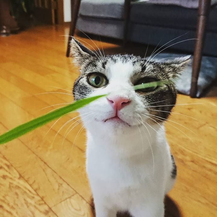 C996470c 7b90 4e24 88ab 72c77178c463 1509593864721