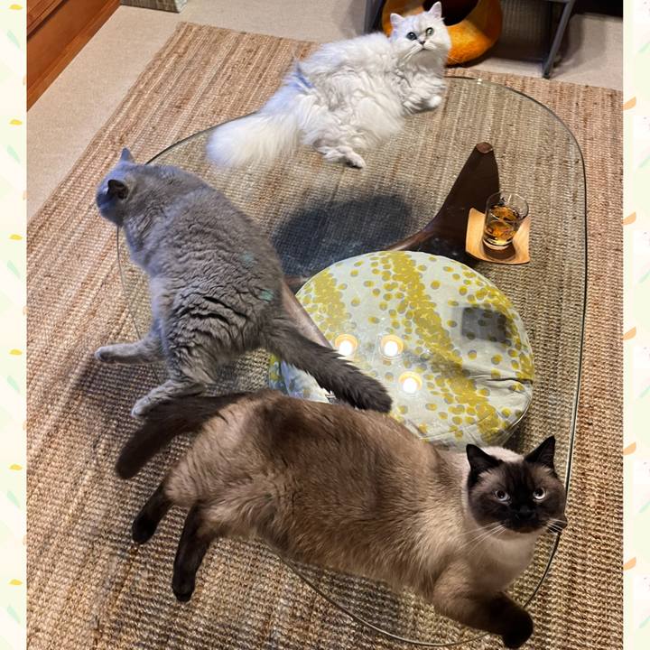 C996609a 4680 4501 a136 3bbf3717c483 1659353636504