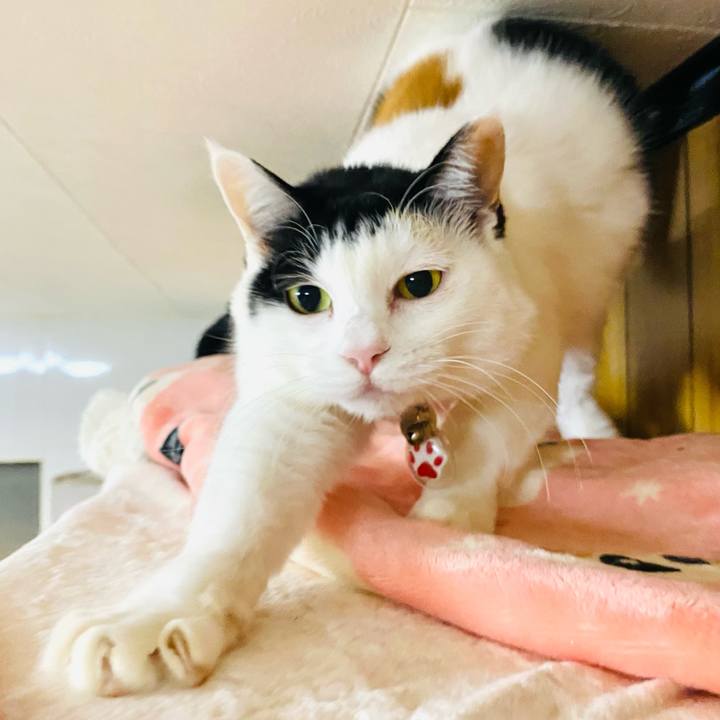 C99661c4 eb25 4535 8490 a81d560d0d32 1736935884918