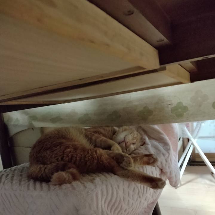 C996673f c0b4 4023 8e85 328a608eb126 1673317660317