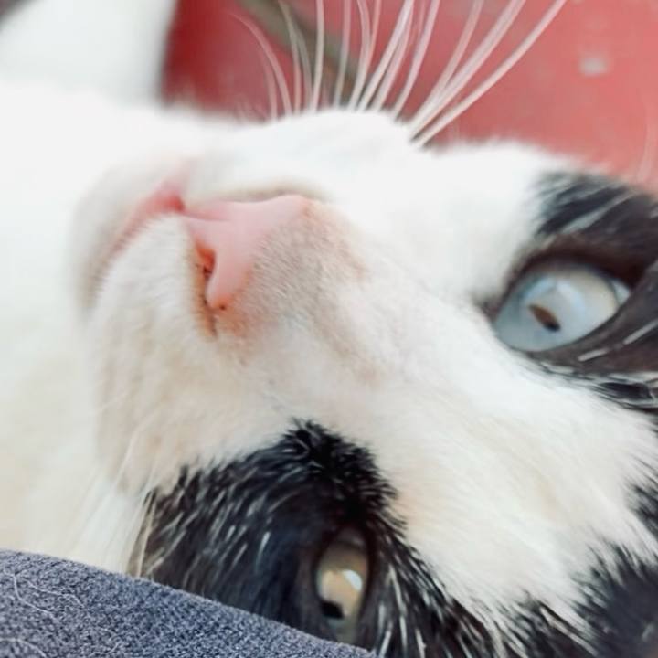 C9967577 8ee9 4f6d 9295 a3c8d22620d9 1751249083097