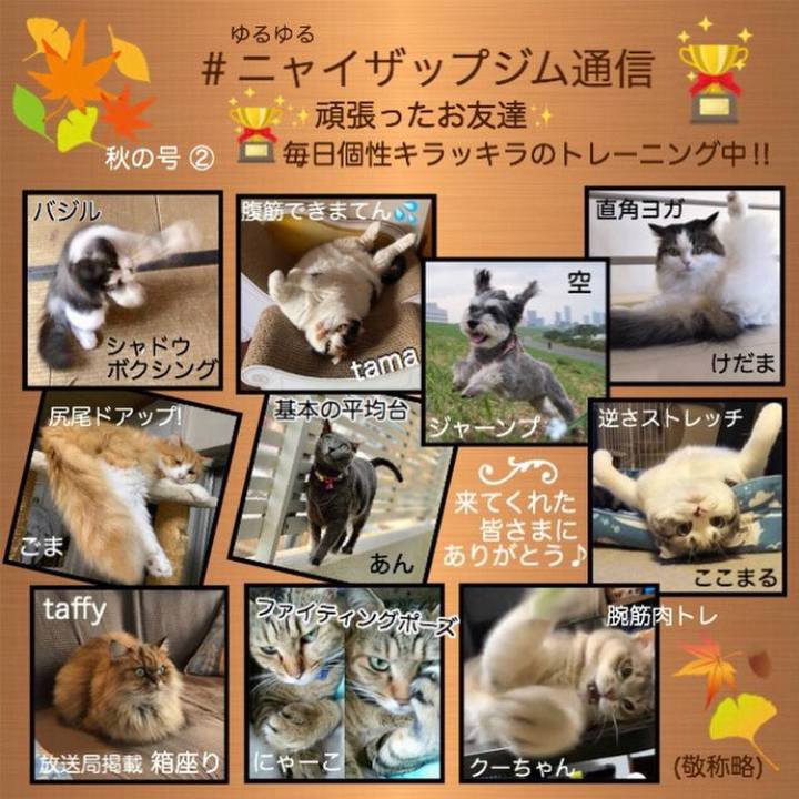 C9969dcb 3018 41ce 855f 82be2bb9c095 1570324674992