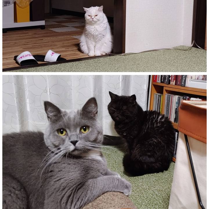 C996c31a 92bf 4d78 9daa 04bd986a926a 1635454333972