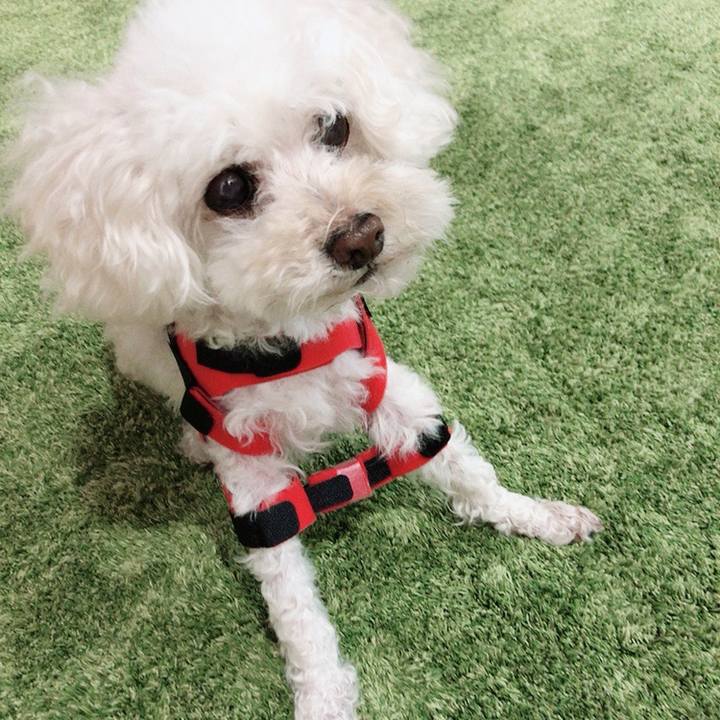 C996e1c7 09d4 4462 8364 47499d69174f 1625007537088