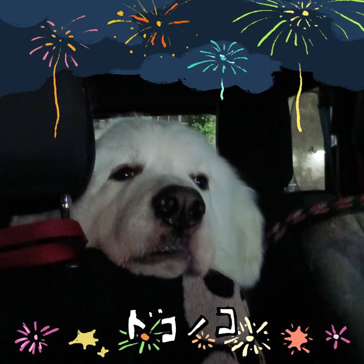 C9970568 323c 48ce b363 3a71e23cf591 1723460805451