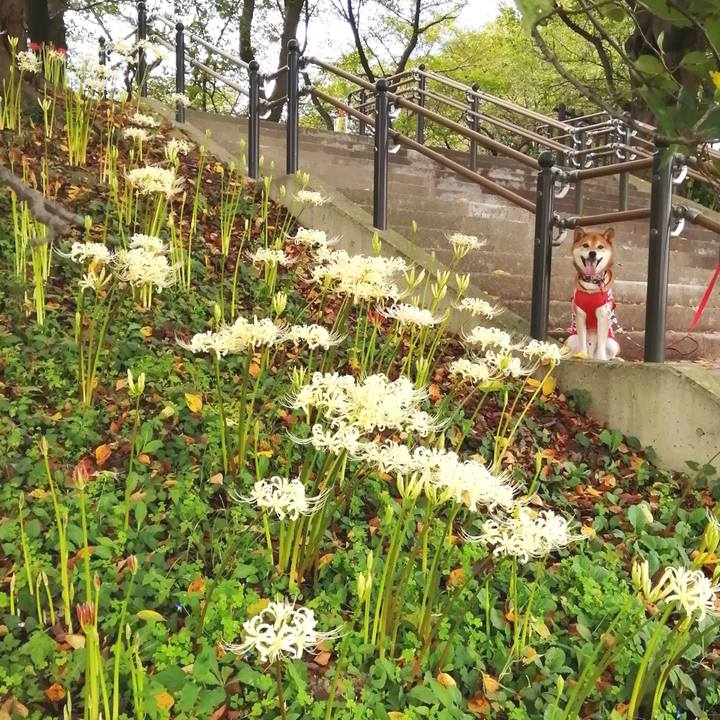 C9976347 64d6 4087 8bda da336cb8b5ef 1663324526545