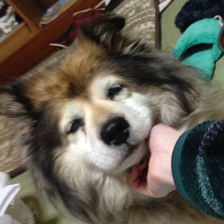 C99765e4 45e1 4f3a a371 dfed66f3498c 1612679339136