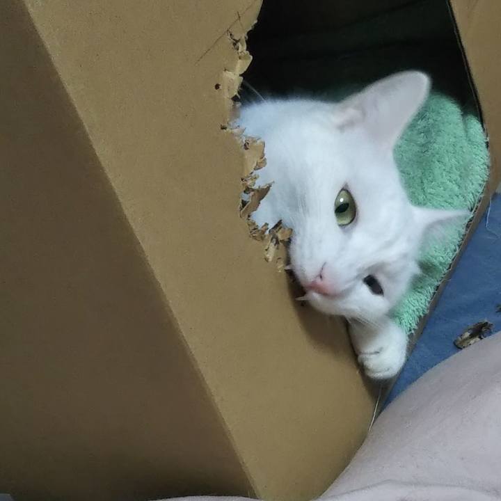 C997731a f560 49ab 8d25 73a235fddc34 1678344048484